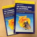 Guide to Common Bees of California