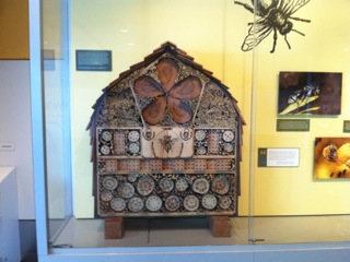 Bee hotel by Geoff Bidwell.jpeg