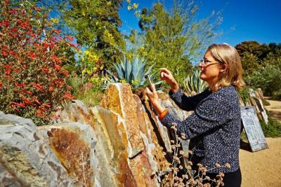 Gretchen counting bees_1.jpg