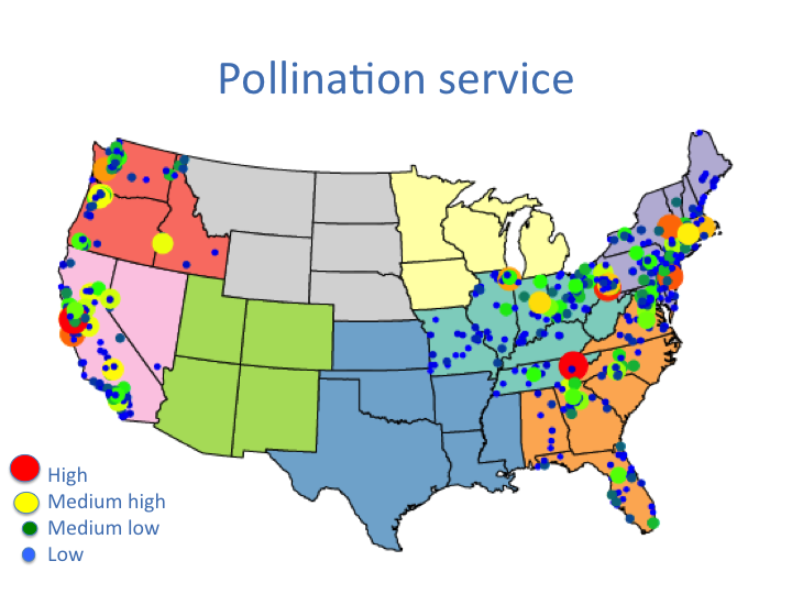 Pollinator Service