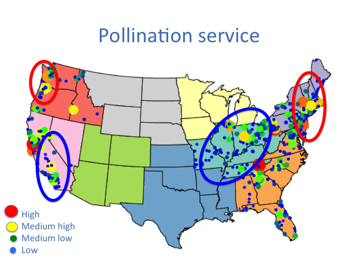 Pollinator deserts