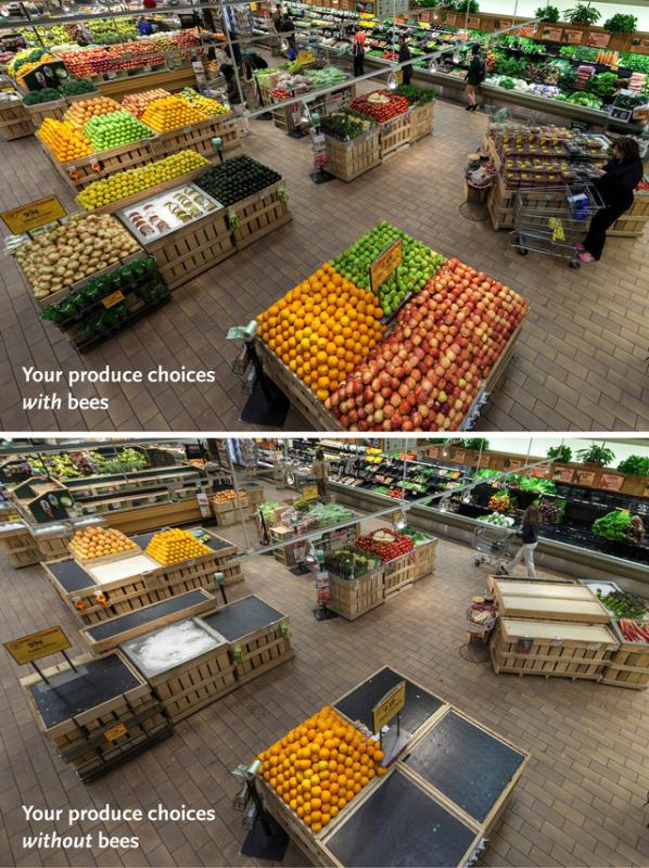 Produce section with and without food dependent on bees