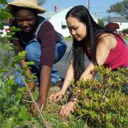 large_weeding by Crystal Raner.jpg