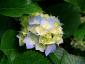 pamelacrowley@charter.net's picture