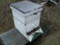 Hargrave Family Farms's picture