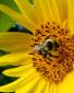Susan Walker's picture